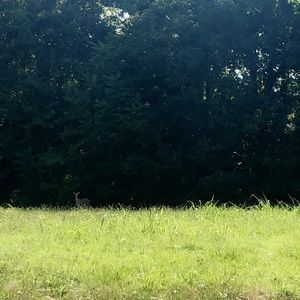 Meet your Posher, Kylee